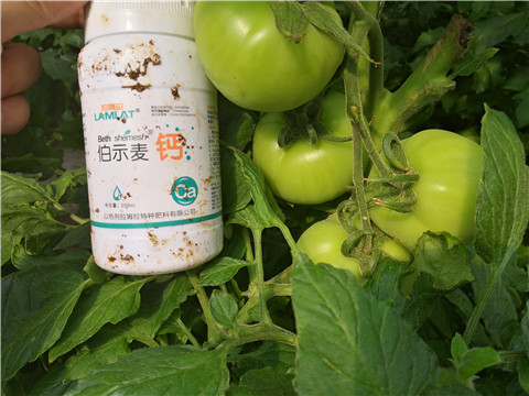 葉面肥，磷酸二氫鉀，鈣肥