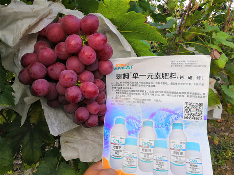 水溶肥，鈣肥，硼肥