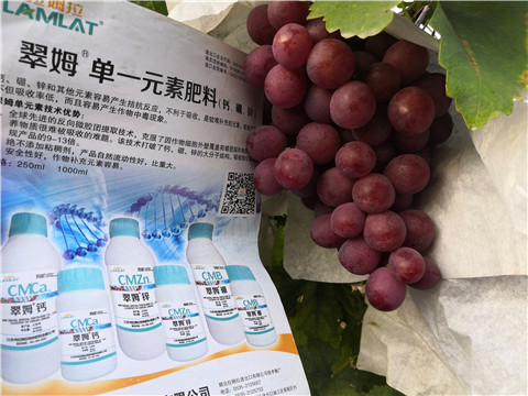 水溶肥，鈣肥，硼肥