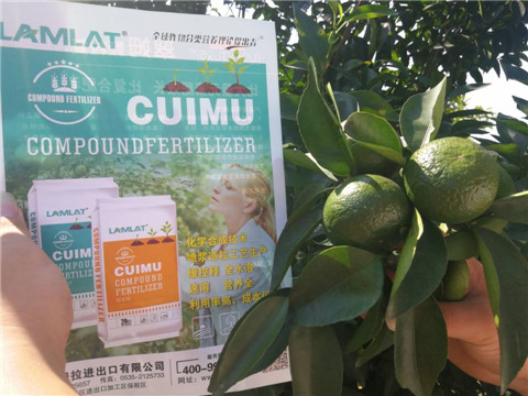 菌劑，水溶肥，