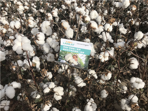 水溶肥，根碧多，生物菌劑