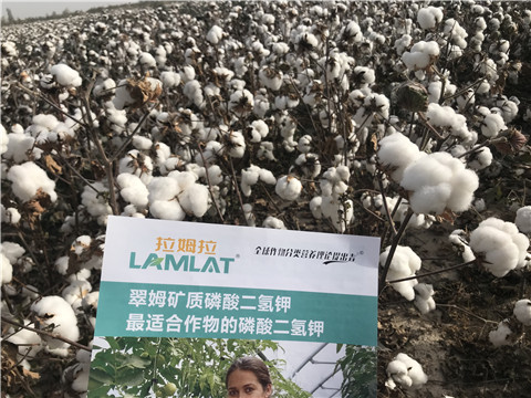 水溶肥，根碧多，生物菌劑