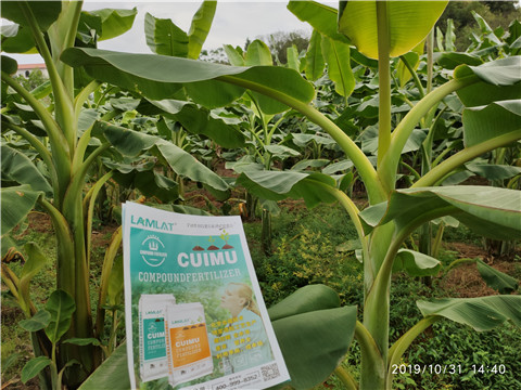 葉面肥，微生物菌劑，硼肥，水溶肥