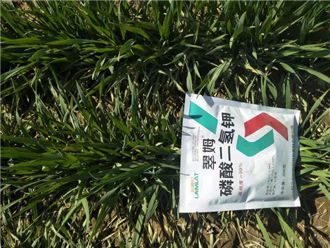 磷酸二氫鉀，