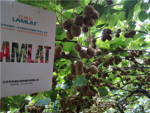 磷酸二氫鉀，葉面肥