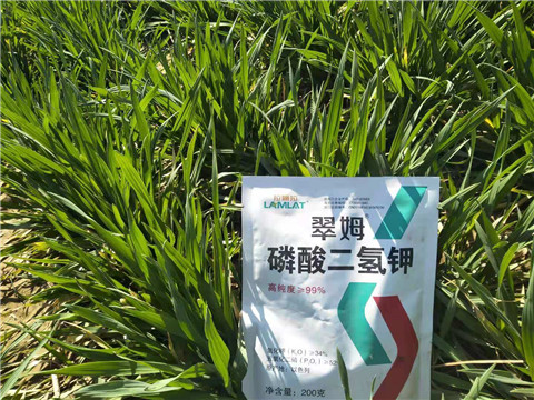 磷酸二氫鉀，