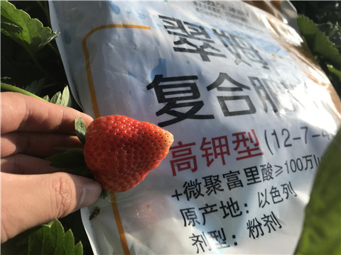 水溶，拉姆拉，翠姆