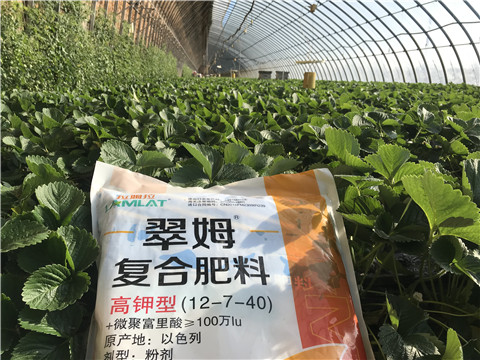 水溶，拉姆拉，翠姆