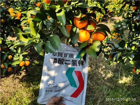 水溶肥，磷酸二氫鉀