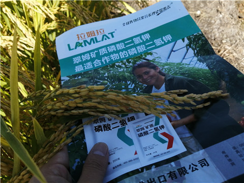 水溶肥，磷酸二氫鉀，