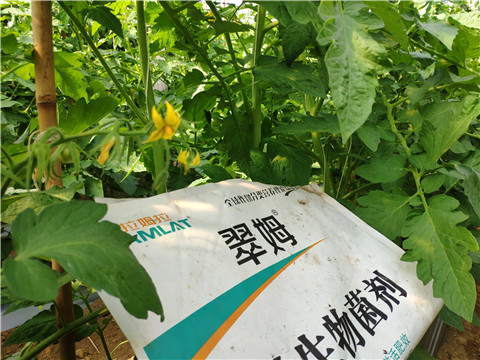 微生物菌劑，