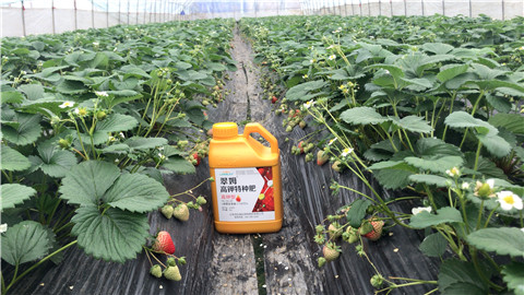 水溶肥，翠姆