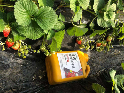 水溶肥，拉姆拉