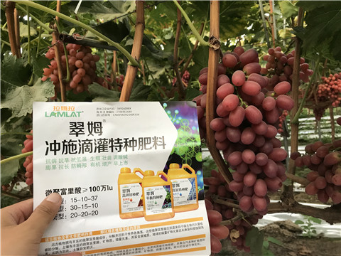 沖施肥，拉姆拉