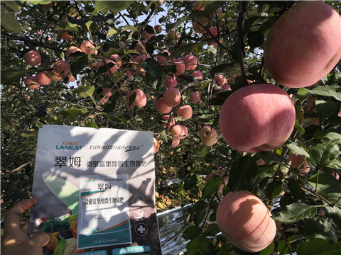 水溶肥，磷酸二氫鉀，微生物菌劑