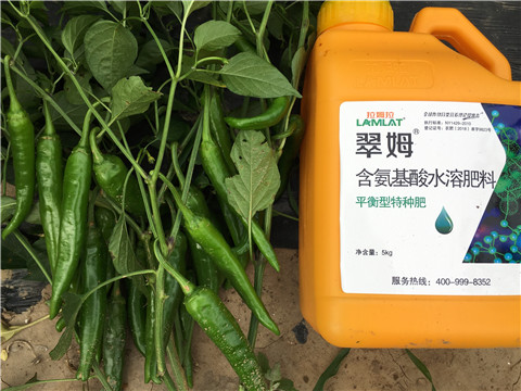 根碧多，微生物菌，葉面肥