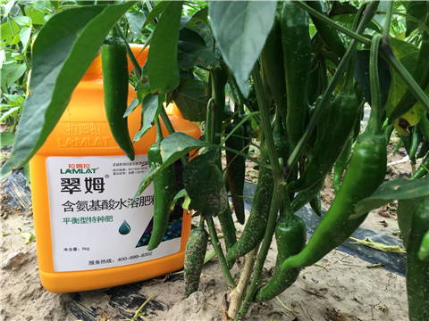 根碧多，微生物菌，葉面肥