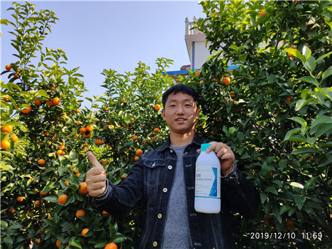 硼肥，拉姆拉