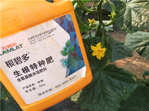 拉姆拉，根碧多，微生物菌劑