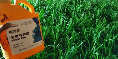 根碧多，拉姆拉