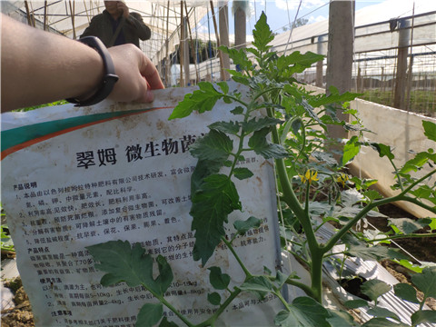 微生物菌劑 ，拉姆拉翠姆