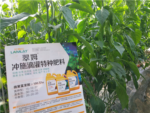 水溶肥，拉姆拉