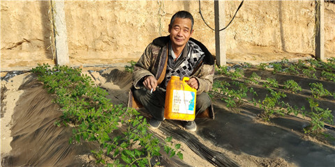 生根劑，拉姆拉