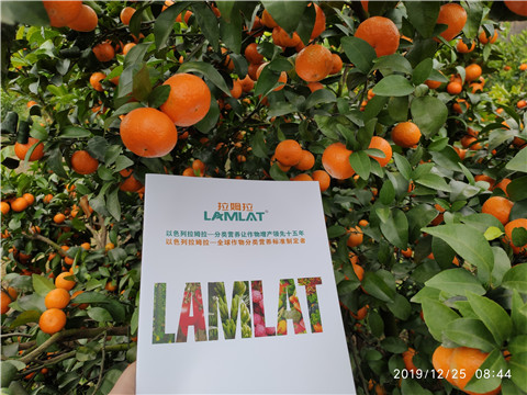 沖施肥，拉姆拉