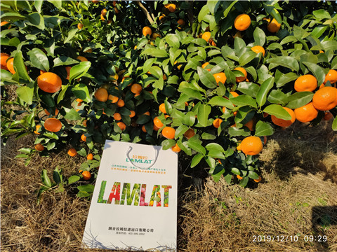 沖施肥，拉姆拉