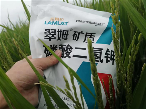 農(nóng)資經(jīng)銷商，拉姆拉，磷酸二氫鉀