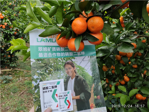 磷酸二氫鉀，葉面肥