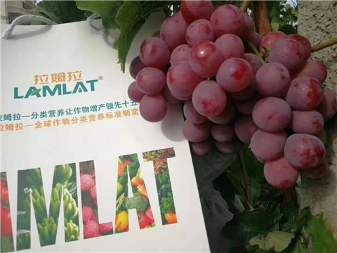 葉面肥，微生物菌劑