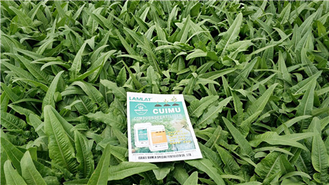 葉面肥，磷酸二氫鉀