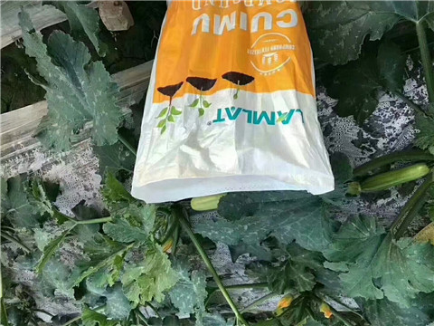 水溶肥，拉姆拉