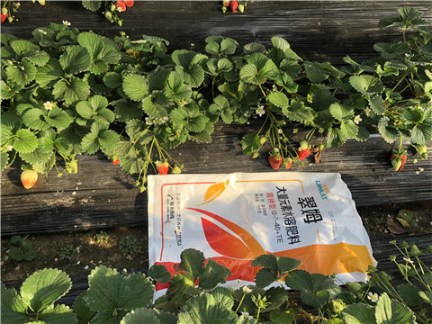 水溶肥，葉面肥，根碧多