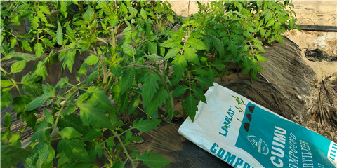 磷酸二氫鉀，鈣肥，水溶肥