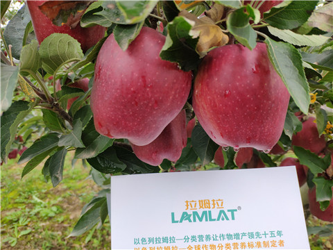 水溶肥 拉姆拉，翠姆