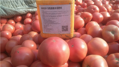 水溶肥，根碧多