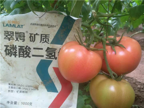 水溶肥，根碧多