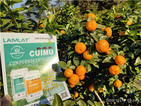 水溶肥，磷酸二氫鉀