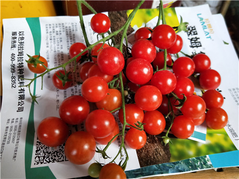 磷酸二氫鉀，鈣肥，根碧多