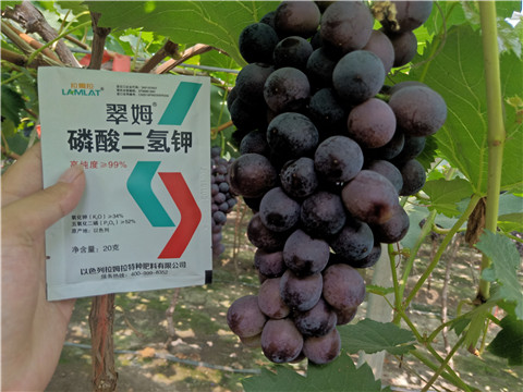 磷酸二氫鉀，葉面肥