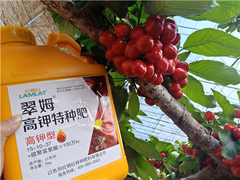 水溶肥，根碧多