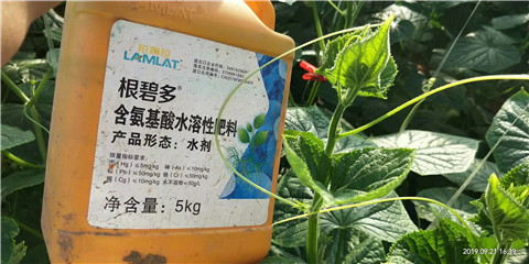 水溶肥，翠姆