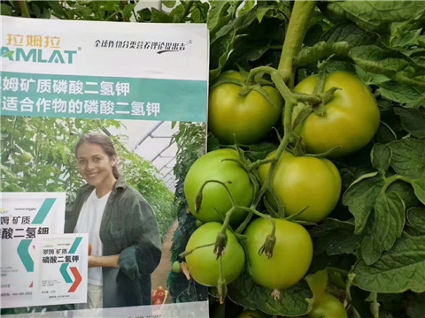 磷酸二氫鉀，鈣肥，水溶肥