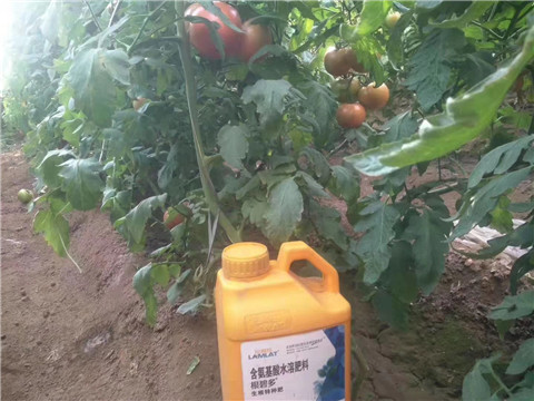 根碧多，微生物菌劑