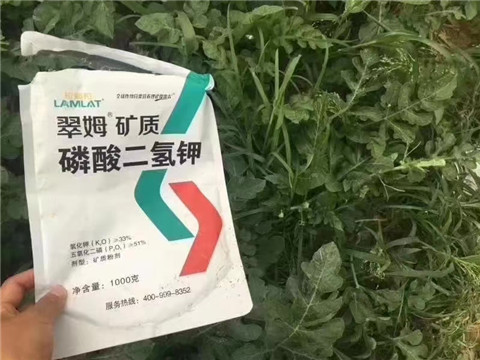 磷酸二氫鉀，硼肥，沖施肥