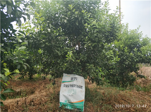 微生物菌劑，拉姆拉