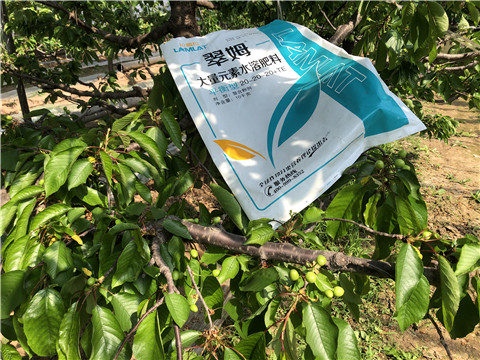 大量元素水溶肥，磷酸二氫鉀，硼肥