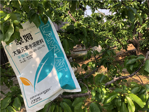 大量元素水溶肥，磷酸二氫鉀，硼肥